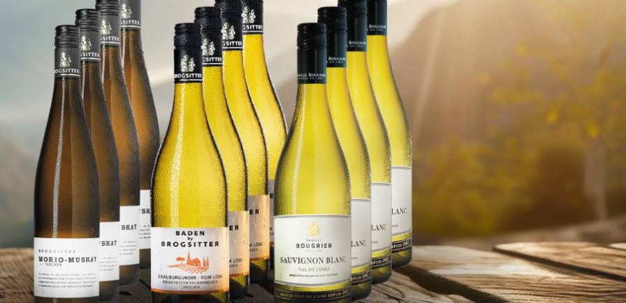 Exzellenz im Weinbau: Die Tradition und Moderne von Brogsitter
