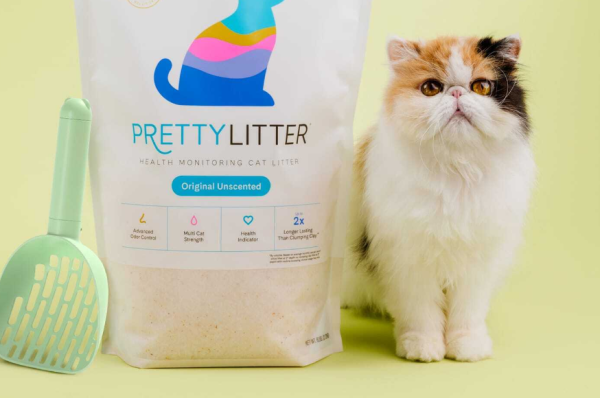 Pretty Litter: A Smarter Way to Care for Your Cat